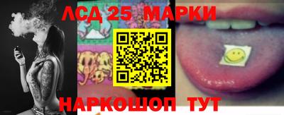 apvp Нальчик