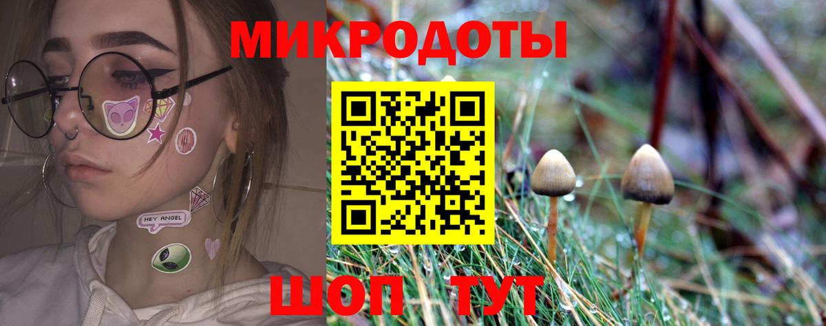 Галлюциногенные грибы Psilocybe  где купить наркотик  Тулун  Вход с VPN 